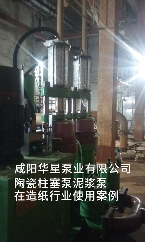造紙行業咸陽柱塞泵使用現場1