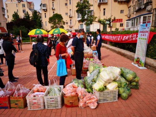 青島市南湛山社區 半小時售罄3000斤！新鮮蔬果進社區，助農惠企利民見實效